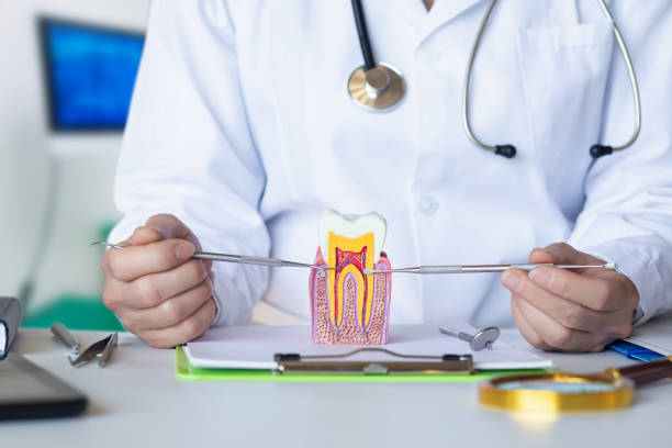 Best Dentist for Dental Trauma  in Aurora, TX